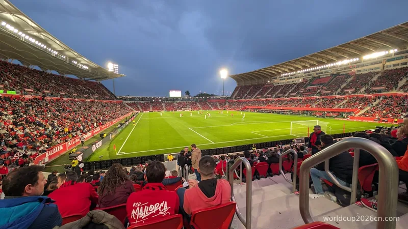 Crowded soccer stadium with fans watching a game.